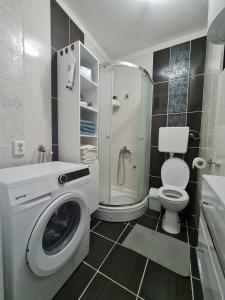 a bathroom with a washing machine and a toilet at Apartment Pemper - Self check in and check out in Otočac +65 photos
