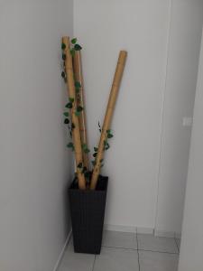 Foto dalla galleria di Memory Home a Megara
