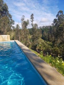 a swimming pool with blue water and trees in the background at Domos y Cabañas Algarrobo in Algarrobo