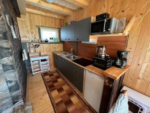 Kuchnia lub aneks kuchenny w obiekcie Troadkasten Hollnhof