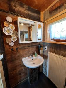 ein Bad mit einem Waschbecken und einem Spiegel in der Unterkunft Troadkasten Hollnhof in Donnersbach