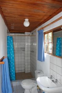 a bathroom with a toilet and a shower and a sink at Kosi Moon Bed and Breakfast in Manguzi