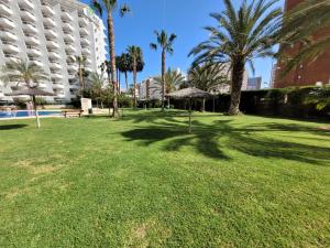 um parque com palmeiras e guarda-sóis na relva em Gemelos 26-Fincas Benidorm em Benidorm