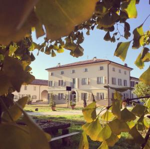 A garden outside Villa Pacchioni