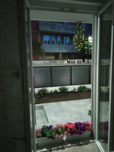 Vonkajšia záhrada v ubytovaní Residence LA VELA fronte mare