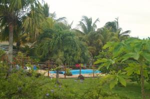 a resort with a swimming pool and palm trees at Gîtes Mosaïques in Sainte-Rose
