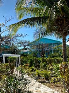 Zahrada ubytování Hideaways Exuma