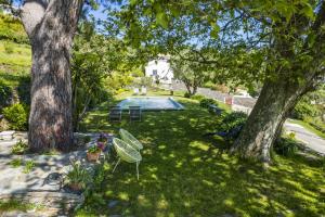 巴斯蒂亞的住宿－Villa A Ventosa，享有带游泳池和两棵树的庭院的上方景色