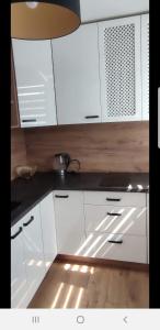 Kuchyňa alebo kuchynka v ubytovaní Apartament u Kasi z widokiem na Zamek Malborski