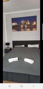 Posteľ alebo postele v izbe v ubytovaní Apartament u Kasi z widokiem na Zamek Malborski