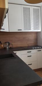 Kuchyňa alebo kuchynka v ubytovaní Apartament u Kasi z widokiem na Zamek Malborski