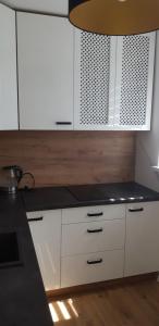 Kuchyňa alebo kuchynka v ubytovaní Apartament u Kasi z widokiem na Zamek Malborski