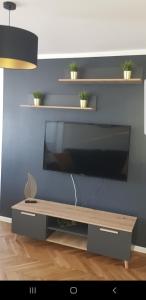 Televízia a/alebo spoločenská miestnosť v ubytovaní Apartament u Kasi z widokiem na Zamek Malborski