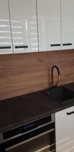 Kuchyňa alebo kuchynka v ubytovaní Apartament u Kasi z widokiem na Zamek Malborski