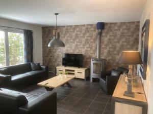 TV a/nebo společenská místnost v ubytování Villapark Lipno Dreams - pet friendly