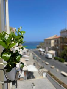 a potted plant on a balcony with a view of a city at Terrazzo Del Borgo in Tropea