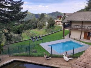 three birds are standing next to a swimming pool at La Casa de les Oques in Espinelvas