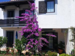 Vonkajšia záhrada v ubytovaní Apartments Barac