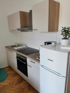 Кухня или кухненски бокс в Apartment Cosy Nest in Barbat