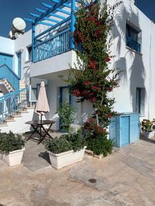 a building with a tree with red flowers and a table at Ocean Blue Apartments in Paphos