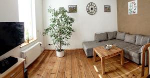 ein Wohnzimmer mit einem Sofa und einer Topfpflanze in der Unterkunft Haus-Wolter in Goslar
