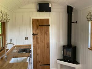 a kitchen with a stove and a sink in a room at The Snug at Coed Y Gaer in Oswestry