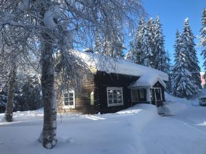 Lillfallet mysig fjällstuga med bästa läge på fjället under vintern