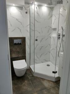 a bathroom with a shower and a toilet at Perełka (by F&J) in Toruń