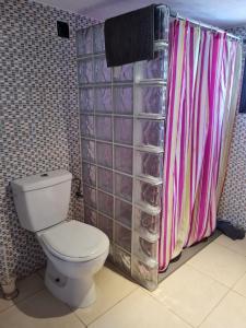 a bathroom with a toilet and a shower curtain at Lo raconet 2 in L'Ampolla +19 photos