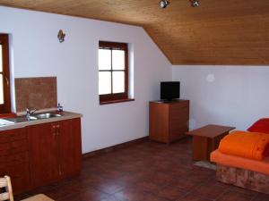 TV a/nebo společenská místnost v ubytování Apartmán Pohoda