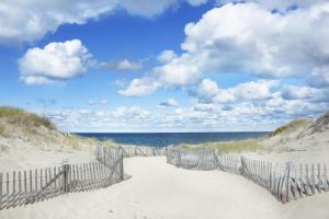 Gallery image of Blue Cottage & Beach Condo in Provincetown