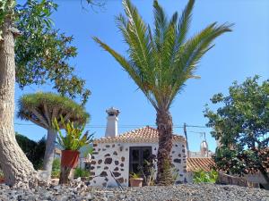 En have udenfor Holiday resort, El Paso