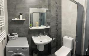 a bathroom with a sink and a toilet and a mirror at Maia's Sweet Homes in Batumi +90 photos