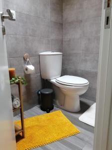 a bathroom with a toilet and a yellow rug at CASA DO PENEDO - Um Segredo na Serra da Estrela in Quintãs de Baixo