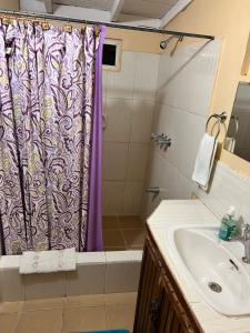 La salle de bains est pourvue d'un rideau de douche violet et d'un lavabo. dans l'établissement Shirvan Holiday Apartments Studio, à Canaan
