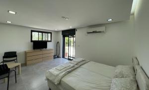 sypialnia z łóżkiem, biurkiem i telewizorem w obiekcie laila's boutique apartment w mieście Hajfa