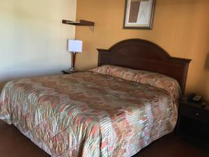 1 dormitorio con 1 cama y 1 lámpara en una mesa en Skyland Inn - Bristol, en Hilander Park