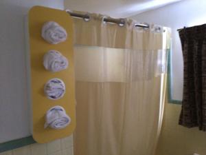 a bathroom with a shower with towels on a curtain at Skyland Inn - Bristol in Hilander Park