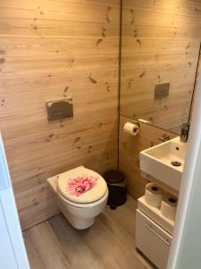 ห้องน้ำของ Hausboot Jeknic