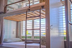 Absoloot Hostel Queenstown في كوينزتاون: سرير بطابقين في غرفة مع نافذة