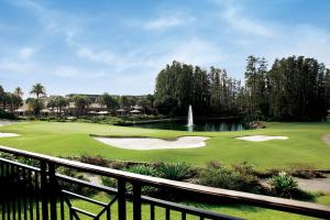 uma vista para um campo de golfe com um lago e uma fonte em Saddlebrook Golf Resort & Spa Tampa North-Wesley Chapel em Wesley Chapel