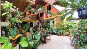 UNK'S HOUSE HOMESTAY في بنغلاو: غرفة مليئة بالكثير من النباتات
