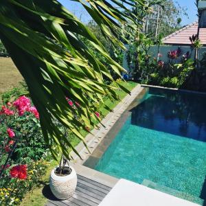 a swimming pool in a garden with a palm tree at Canang Villas Bingin in Uluwatu