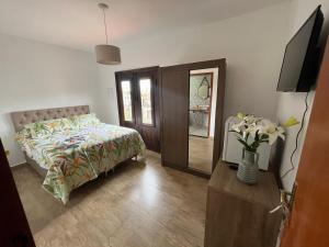 1 dormitorio con 1 cama y vestidor con TV en Pouso Primavera en Tiradentes