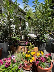 Ein Garten an der Unterkunft Luftkurort, Perle des Neckartals