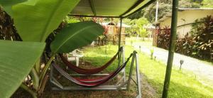 a hammock in a garden with a large leaf at Manta Ray's Cahuita Apart. in Cahuita