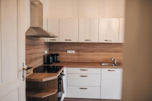 Fotografie z fotogalerie ubytování Apartment 1935, Olomouc Pavlovičky v destinaci Olomouc