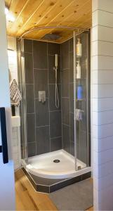 a shower with a glass door in a bathroom at The Arkansas Tiny House in Mulberry