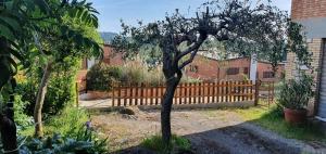 a tree in a yard with a wooden fence at La Casina di Jo in Siena