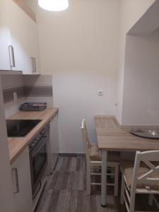 Kuhinja ili čajna kuhinja u objektu APARTMAN ADA